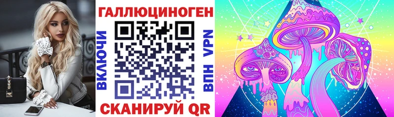 kraken tor  дарк нет наркотические препараты  Псилоцибиновые грибы GOLDEN TEACHER  Богданович 